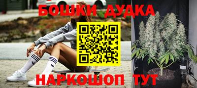 PSILOCYBIN Малгобек