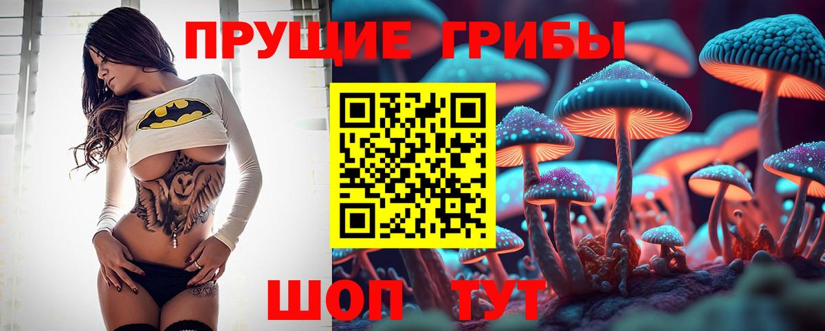 Псилоцибиновые грибы Psilocybe Верхний Уфалей